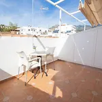 Hostel El Gallo *