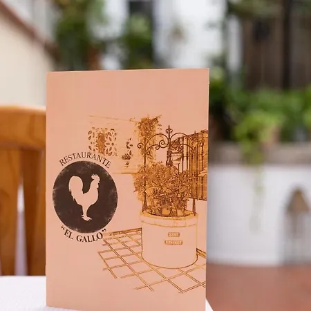 El Gallo Hostel Marbella