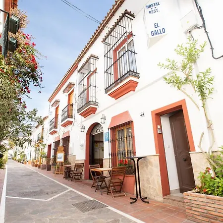 El Gallo Hostel Marbella