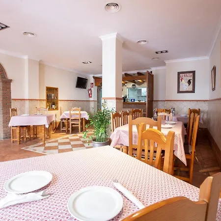 El Gallo Hostel