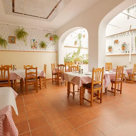 Hostel El Gallo